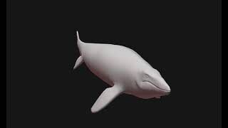 Pt Mosasaurus Swimming Animation Path Of Ans