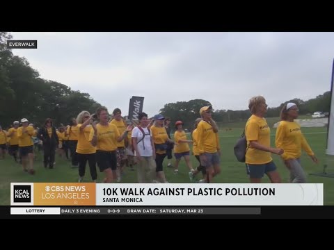 Legendary long-distance swimmer Diana Nyad to lead walk in Santa Monica for good cause