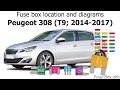 Peugeot 307 Fuse Box Indicator