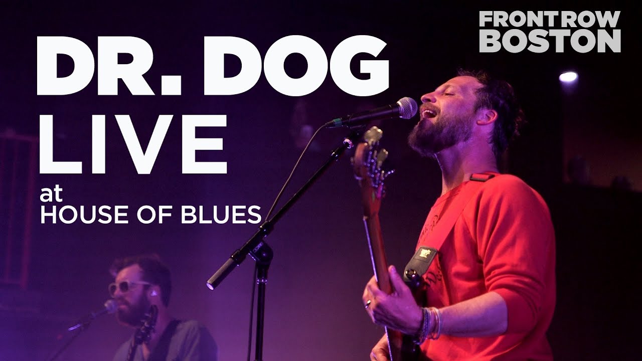 Dr dog where d all