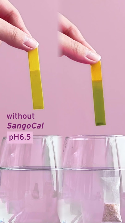 How SangoCal Improves Your Drinking Water | Avance