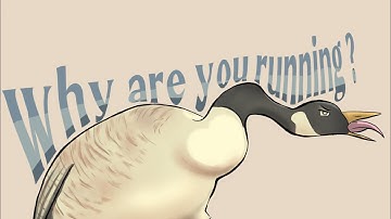 How To Curve Text in a Cool Way on IBISPAINT X ON PHONE