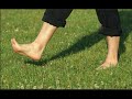 Capsule Etudes Mise à la terre ou Grounding Earthing