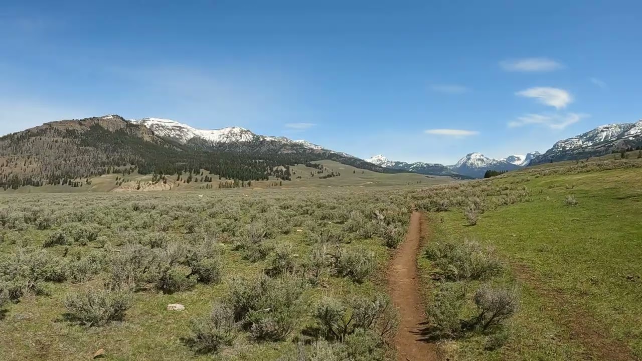 Lamar River Trail - Yellowstone