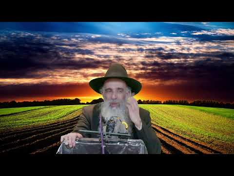 הרב מאיר דוד שמואלי שליט"א בנושא: האמונה תחיה בעליה