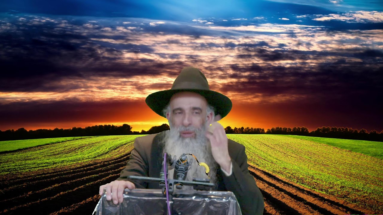הרב מאיר דוד שמואלי שליט"א בנושא: האמונה תחיה בעליה
