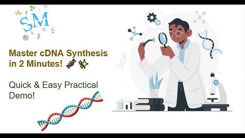 Lecture 7-Basic knowledge cDNA | cDNA synthesis | Oligo dT |  Hexamers |  PolyA | @SciChatMindset