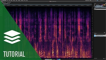 De-Esser | Spectralayers Pro 7 Tutorial
