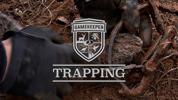 Trapping | How to Trap Bobcats