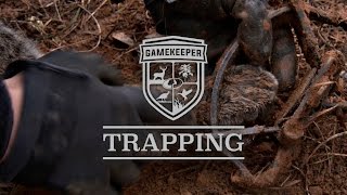Trapping | How to Trap Bobcats