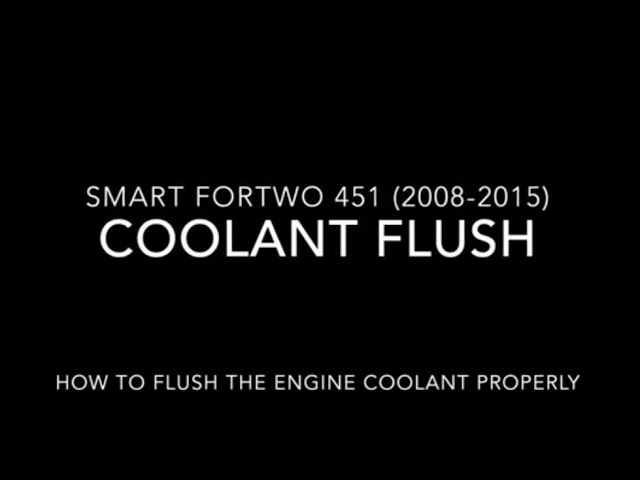 Smart ForTwo For2 450 Kühlerlüfter Lüftermotor Lüfter 0003127