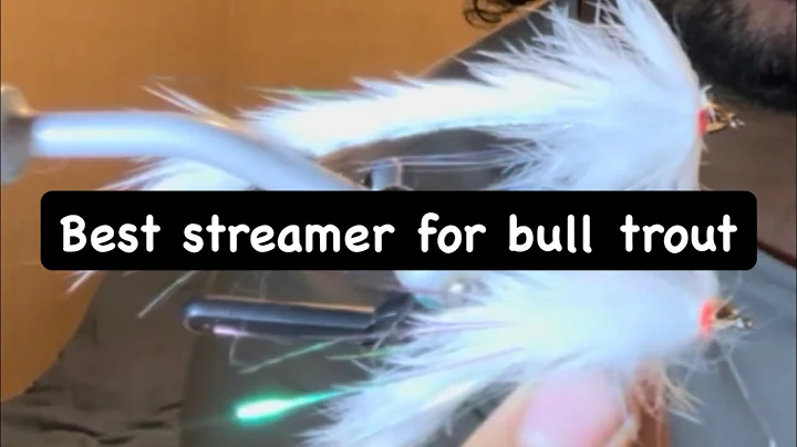 Best streamer for bull trout