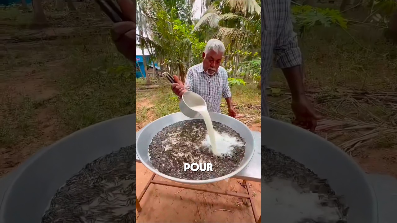 Why Is He Pouring Milk Over Fish?