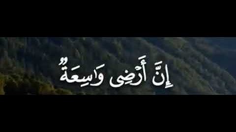 القارئ : عبدالرحمن مسعد