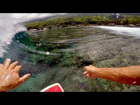 Theo & Friends surfing with dolphin Saint-Leu 974 Reunion island