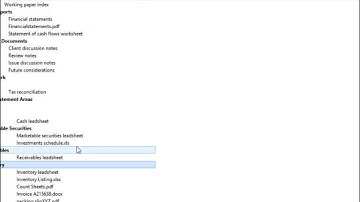 Working Papers: Publishing a client file