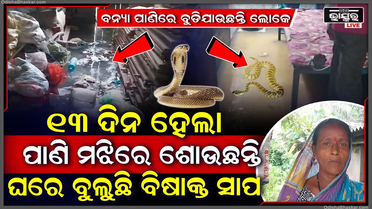 ଶୋଇଥିଲେ ଘରେ ହଠାତ୍ ମାଡ଼ିଆସିଲା ପାଣି... ୧୩ ଦିନ ହେଲା ପାଣି ମଝିରେ ଶୋଉଛନ୍ତି...