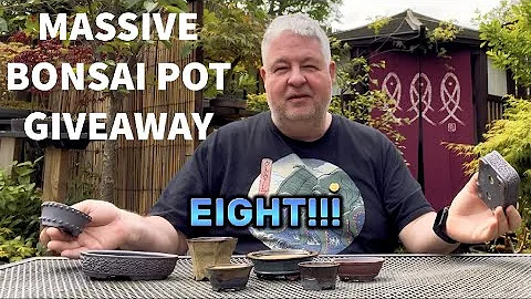 Massive FREE Bonsai Pot Giveaway - DayDayNews