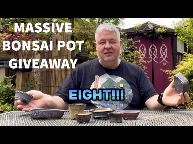 Massive FREE Bonsai Pot Giveaway class=