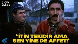 Çiçek Abbas Türk Filmi | Şakir, Nazlı'dan Tokat Yiyor Abbas Neşesini Buluyor!