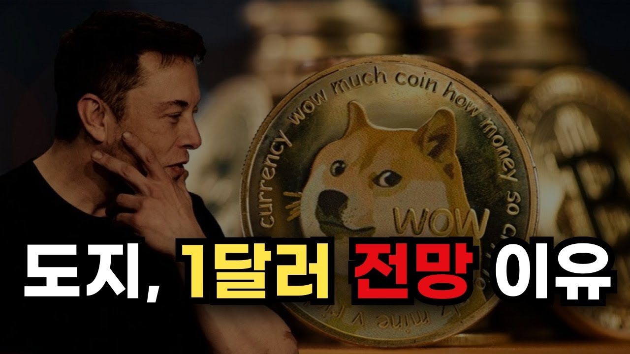 도지코인 시세, 1달러 갈 수 있는 이유 3가지 - YouTube