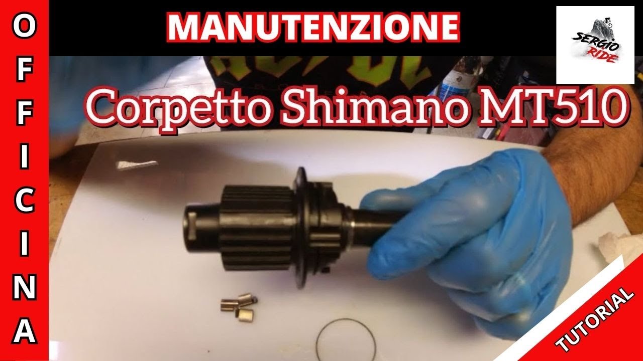Manutenzione cuscinetti e corpetto ruota libera shimano bici tutorial
