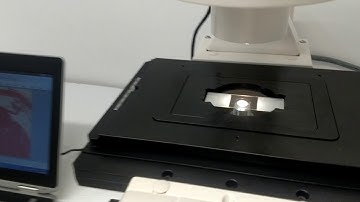 Zeiss Axiovert 200 Inverted Microscope Pred Observer Z1 [BOSTONIND] - 14203