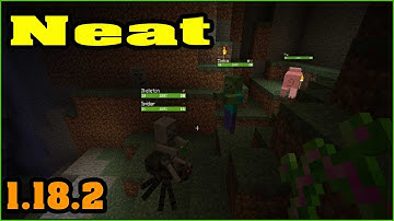 Neat Mod 1.18.2 Download - How to install it for Minecraft PC