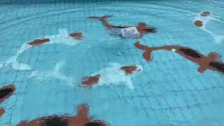 AUV prototype test