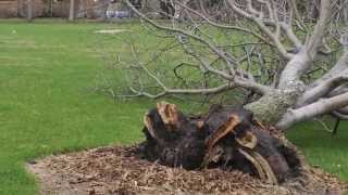 Storm blows through Kearney