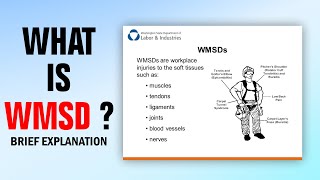 what is WMSD  - Brief Explanation / Work-related Musculoskeletal Disorders