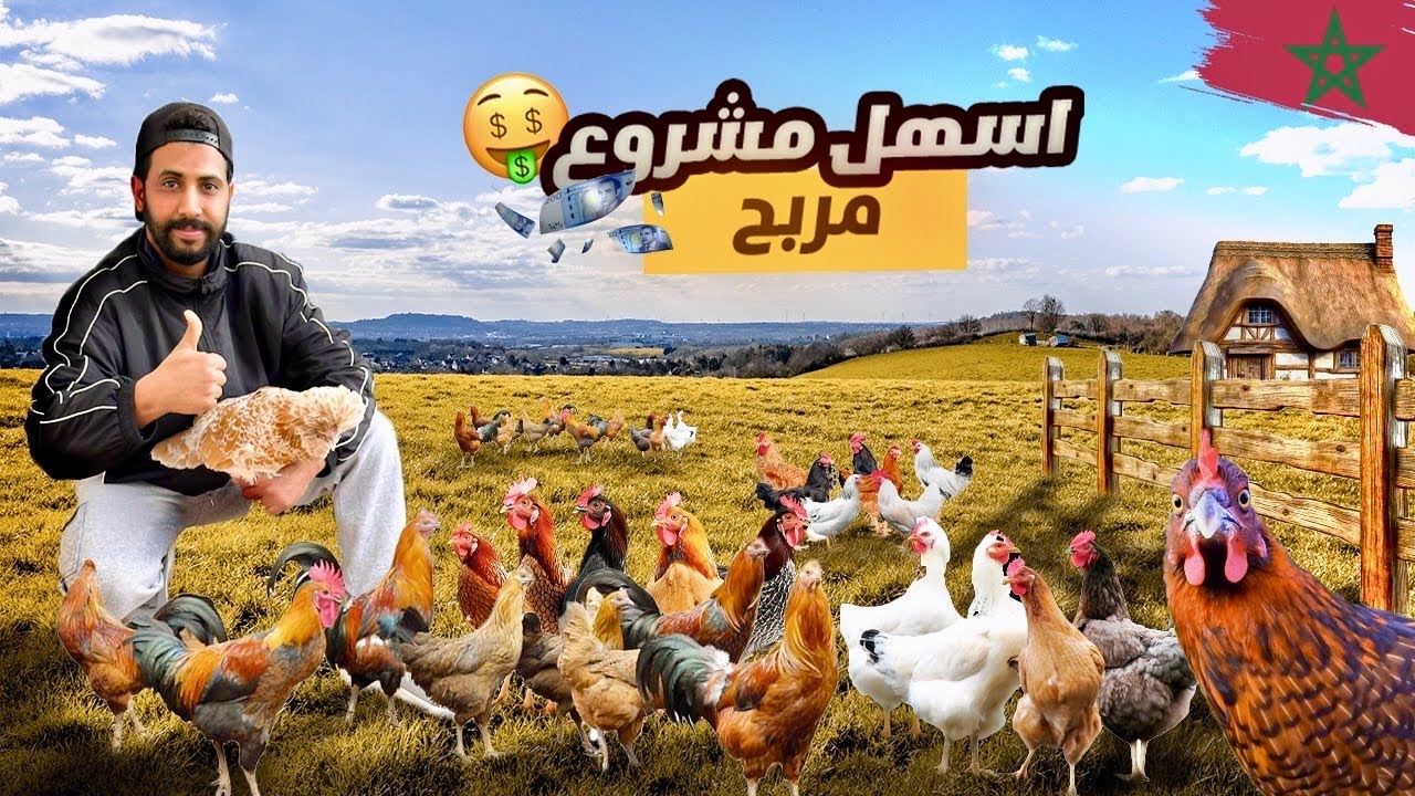 واحد من أقوى المشاريع لي ممكن تبداه فـ 2026🤑مزرعة دجاج + فقاسة = أرباح خيالية😱