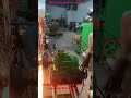 blade sharpening machine how to sharp blade industrial blades grinder machine