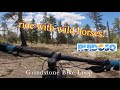 Wild horses spotted mountain biking grindstone lake bike loop at ruidoso nm downhill part