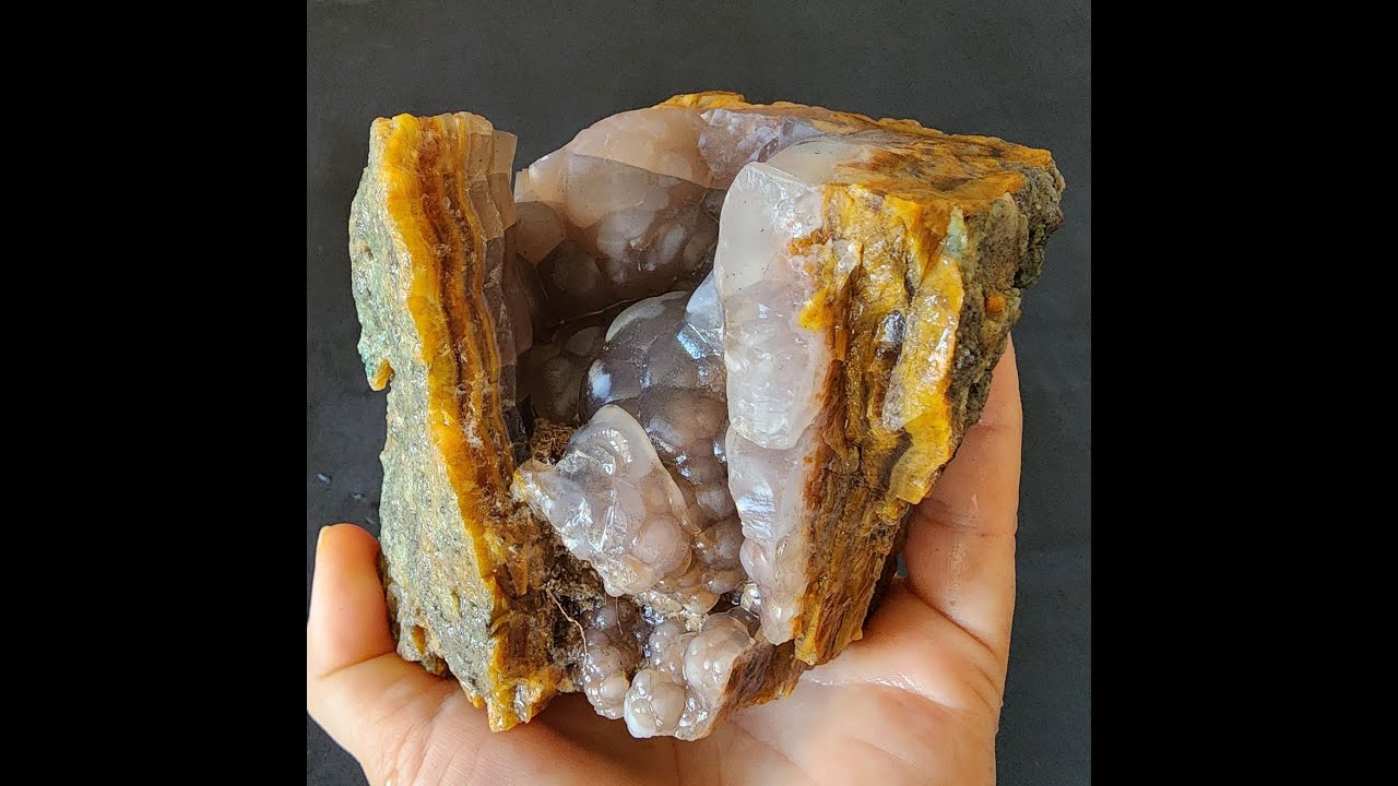 Rough Rocks for Lapidary & Collectible - Limb Cast - Agatized Fossil Wood