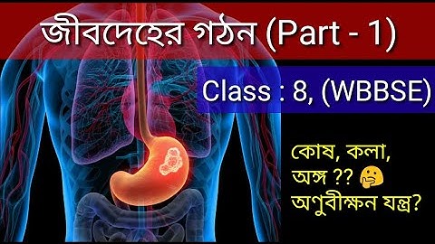 WBBSE (Science), Class 8 life science Chapter no.6 Jib deher gathan (জীবদেহের গঠন), in Bengali |🐇