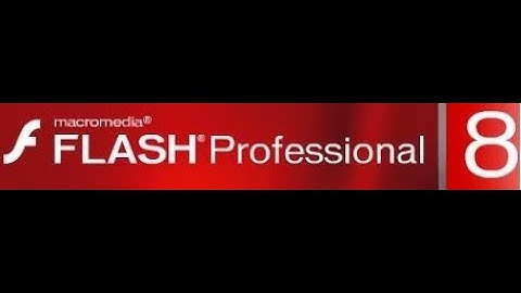 Grade 6 Computer Flash 8