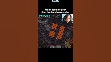 Minecraft Older Brother Moment