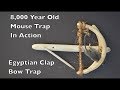 8000 Year Old Style Mouse Trap. The Egyptian Clap Bow Trap In Action.