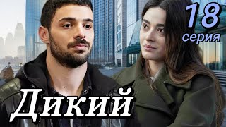 Дикий 18 Серия На Русском Языке. Новый Турецкий Сериал .Анонс