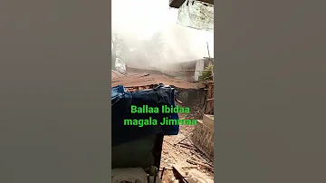 Magala Jimma Nannoo Shawaabarr 
