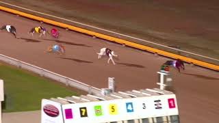 BAL MON 13 MAY 19 R12