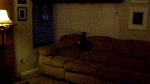 trex 450se v2 living room hover