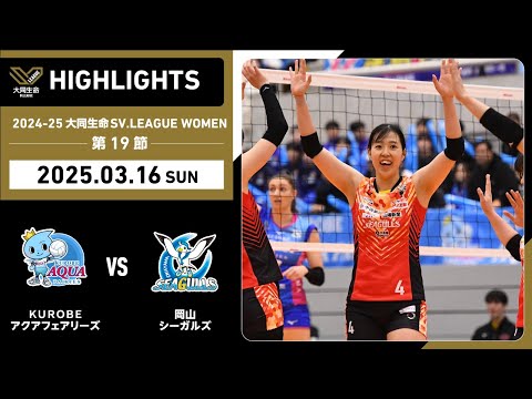 ⭐︎値下げ⭐︎ 早い者勝ちアリーナ　セパレーツ 2025/03/29 ハイライト】2024-25 大同生命SV.LEAGUE WOMEN 第21
