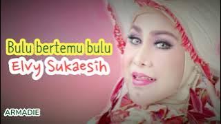 Bulu bertemu bulu _ Elvy Sukaesih