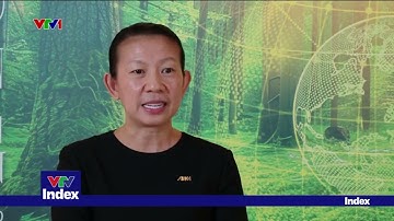 Ngân hàng hỗ trợ người vay 1 năm lương nếu thu giữ nhà ở duy nhất | VTVIndex