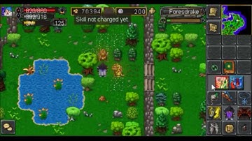 Quest Npc Don Correc (Foresdrake) Hunterra [TibiaME]