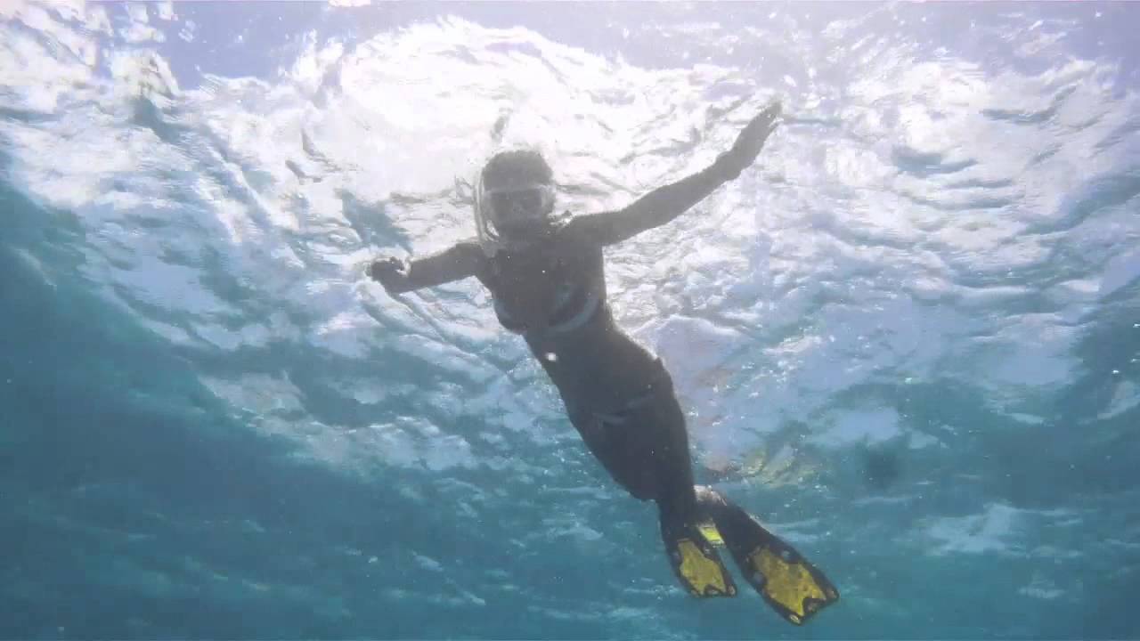 snorkeling tours in honolulu hawaii