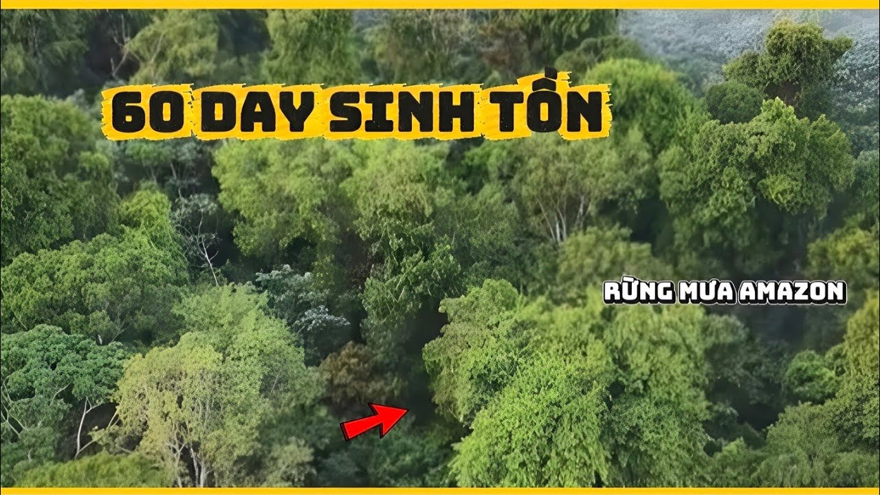 P10 :60 Ngày Sinh Tồn Trong Rừng Amazon Chống Chọi Với Mưa Gió Và Đầy Ấp Những Khó Khăn