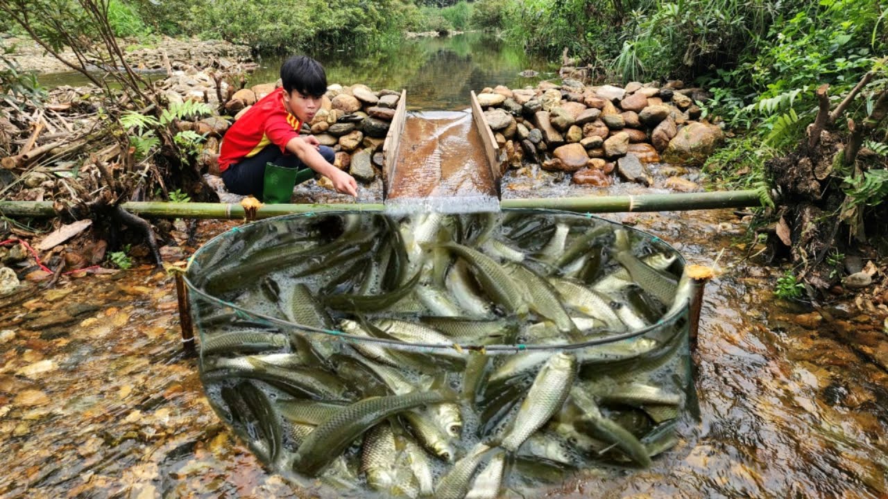 The boy caught a huge catch of fish in a trap he made himself. - YouTube